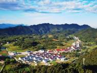 陳家萍：每一棵草木都含情——讀凌澤泉散文集《抒情的鄉村》