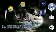 蕪湖兩男子深夜非法捕撈江鮮 被當場抓獲