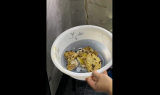 芜湖： 蜜蜂窝藏身卫生间吊顶  消防点喷摘除