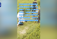 天上無人機地上有警犬 兩地警方攜手追捕竊賊