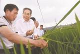 轻车简从 安徽省委书记李锦斌赴霍山县、岳西县走访调研