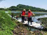 池州月亮湖：打撈水草 呵護水環境