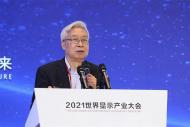 長(zhǎng)三角新型顯示一體化發(fā)展論壇合肥舉行 院士點(diǎn)贊合肥潛力