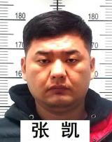 最高奖励10万元！合肥警方公开征集张凯等人违法犯罪线索 