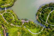 周本華：滿眼綠植遍地金