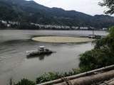 黄山中环洁全力做好汛期新安江等河道垃圾清理工作