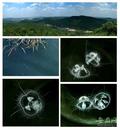 滁州市生物多樣性“家底”愈發豐厚