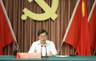 杨如松当选为枞阳县委书记 吴昊当选为县纪委书记