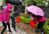 豐富幼兒知識(shí)——這個(gè)“萌萌噠”菜園與合肥市明珠幼兒園寶貝們的故事
