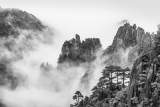 “黄山谈话”引领现代旅游业乘风破浪