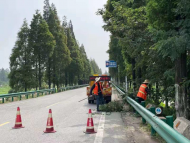 蕪湖市對夏季行道樹安全隱患進行排查整治