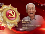 中国科大首任自动化系副主任陆元九院士荣获“七一”勋章   是安徽来安人