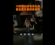 合肥：小奶貓被困電動車內  消防員拆車解救