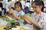 浓情端午 粽叶飘香——合肥市翡翠学校开展多彩端午节活动