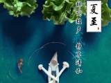 今日夏至 | 夏日之至，愿你清涼舒適一整個(gè)夏天 