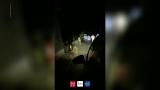 泗县16毛驴集体出逃　马路上大摇大摆乱窜