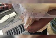 合肥中考結束  家長捧向日葵接考生
