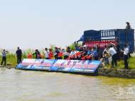 150萬尾魚苗放流巢湖