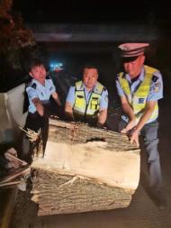 数百斤大木头夜横国道 泗县民辅警迅速搬除出隐患