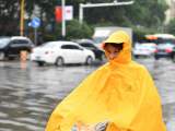 组图|降雨浇灭合肥高温