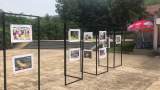 合肥野生动物园举办主题摄影绘画展