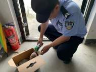 优秀！马鞍山市级三好学生、优秀学生干部名单公布