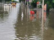 合肥突遭大風暴雨襲擊  廬陽區城管局出動應急人員1500多人次