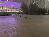 郑州单小时降雨量超过日历史极值  市民：地铁停运 准备住宾馆