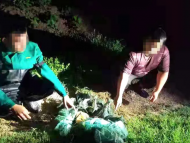 定遠：深夜盜竊村民養殖的小龍蝦 這兩人被拘