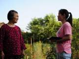 从“85”后女兵到村委干部  “笑花”的十年基层坚守