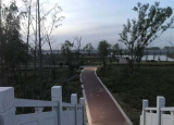濉溪县韩村镇：昔日沉陷废弃坑 今成网红打卡地