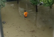 淮南遭暴雨襲擊　多個小區被淹
