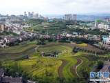 新华全媒+·“七一”重要讲话精神在基层丨贵州毕节：在奢香古镇安居乐业