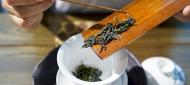 周彪：品茶悟人生