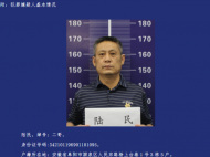 阜陽警方公開征集陸民等人違法犯罪線索
