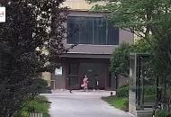 女子稱自己的狗比人值錢  蚌埠警方通報(bào)：拘留