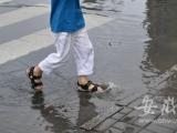 安徽省气象台发布暴雨蓝色预警信号