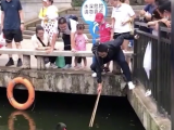 救了合肥野生动物园黑天鹅的年轻爸爸找到了！他婉拒了奖励
