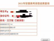 合肥“勵志少年” 汪艾韜被暨南大學錄取 其母親稱“我們都非常滿意”