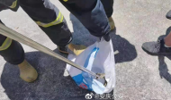 懷寧一居民干完農活回家 看見兩米大蛇飛快“游”進臥室