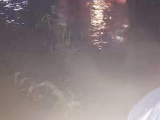 ​安徽省气象台发布雷雨大风黄色预警信号