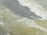 安庆市气象台发布暴雨橙色预警信号