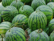 合肥濱湖：環(huán)巢湖沿線景點(diǎn)和游園暫閉 53處瓜攤暫撤