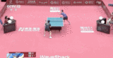王皓辟谣离开国乒：和樊振东还有更高的梦想要一起实现