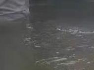 “煙花”二次登陸 浙滬蘇皖等地警惕狂風驟雨