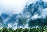 李永树：再约紫蓬山