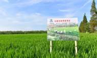 吃貨們快看！安徽最新公布303個無公害農產品 