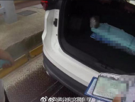 驾驶人有号牌却藏后备箱 被记12分罚款200元