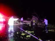 泗县狂风暴雨树木倒伏 民辅警冒雨清障保畅通