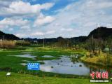 【在生态文明建设上出新绩】凤凰生态公园：筑好凤凰台 织金引得凤凰来